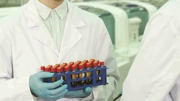 Closeup of a stand with test tubes, which is held by a laboratory assistant video