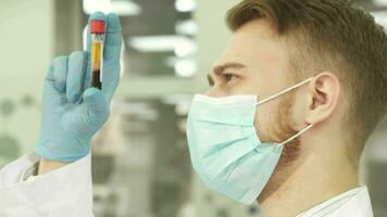 An experienced laboratory assistant carefully examines a test tube with blood video