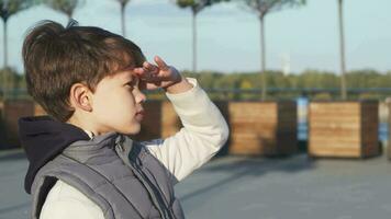 The schoolboy looks through binoculars video