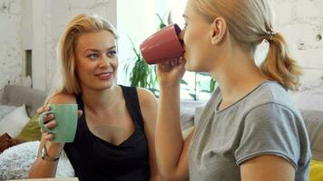 de twee meisjes zijn drinken koffie video