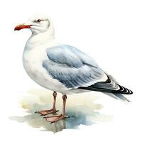 AI generated Watercolor seagull isolated on white background. AI Generated photo