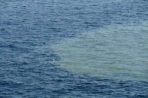 dark water with a large green patch photo