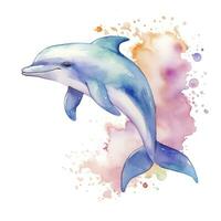 AI generated Watercolor fantasy Baby Dolphin clip art isolated white background. AI Generated photo