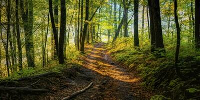 ai generado un la carretera con hermosa bosque. ai generado foto