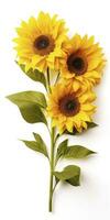 AI generated Sunflowers isolated on white background. AI Generated photo