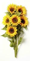 AI generated Sunflowers isolated on white background. AI Generated photo