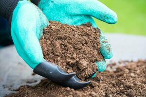 la mano que sostiene la materia orgánica de musgo de turba mejora el suelo para la agricultura cultivo de plantas orgánicas, concepto de ecología. foto