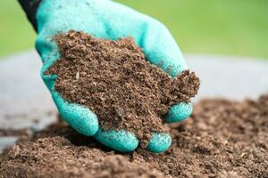 Hand holding peat moss organic matter improve soil for agriculture organic plant growing, ecology concept. photo