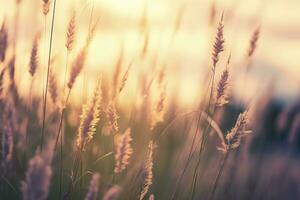 AI generated Wild grass in the forest at sunset. Abstract summer nature background. Generative AI photo