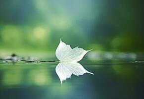 AI generated White transparent leaf on mirror surface with reflection on green background macro. Generative AI photo