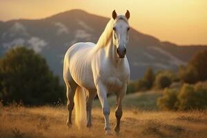 ai generado blanco caballo o yegua en el montañas a puesta de sol. ai generado foto