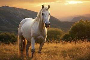 AI generated White horse or mare in the mountains at sunset. AI Generated photo