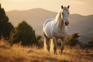 ai generado blanco caballo o yegua en el montañas a puesta de sol. ai generado foto