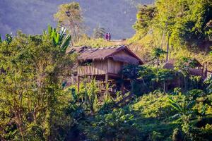 a hut on a hillside with trees and vegetation photo