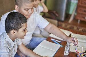 Brothers studying at home during the pandemic photo