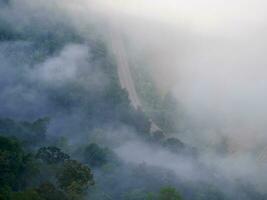 A beautiful asphalt road beside the road has big trees and mountains, A road flanked by green fields, in spring the fog has dissolved and the mountains, The road is filled with morning fog photo