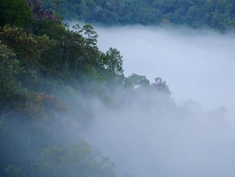 The mist flows through the mountain forest, Sun shining into tropical forest, Mist drifts through mountain ridges in the morning, slow floating fog blowing cover on the top of mountain photo