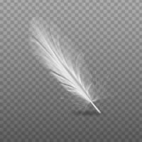 Vector 3d realistic falling feather closeup isolated on transparency mesh background. Design template, image of angel or bird feather.