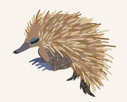 Vector cute illustration of echidna isolated on light background