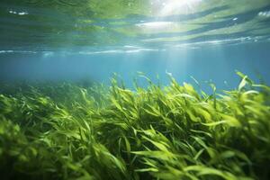 AI generated Underwater view of a group of seabed with green seagrass. AI Generated photo