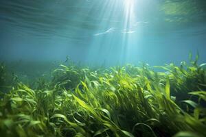 AI generated Underwater view of a group of seabed with green seagrass. AI Generated photo