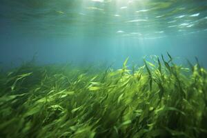 AI generated Underwater view of a group of seabed with green seagrass. AI Generated photo