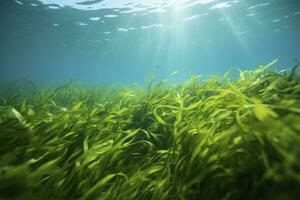 AI generated Underwater view of a group of seabed with green seagrass. AI Generated photo