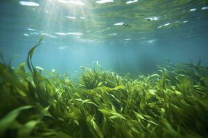 AI generated Underwater view of a group of seabed with green seagrass. AI Generated photo