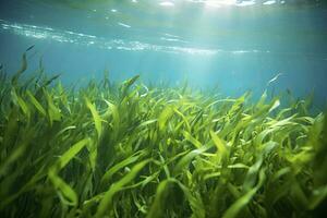 ai generado submarino ver de un grupo de fondo del mar con verde pastos marinos. ai generado foto