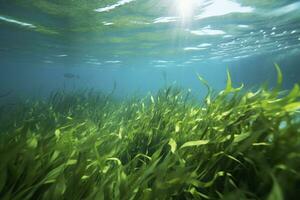AI generated Underwater view of a group of seabed with green seagrass. AI Generated photo