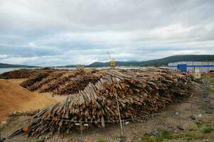 piles of logs in front of a building photo