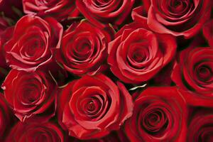 AI generated Red Rose Background for Valentine's Day. AI Generated photo