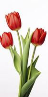 AI generated Red tulips isolated on white background. AI Generated photo