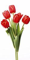 AI generated Red tulips isolated on white background. AI Generated photo