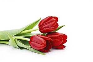 AI generated Red tulips isolated on white background. AI Generated photo