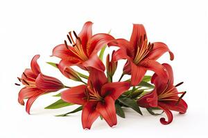 AI generated Red Lilies isolated on white background. AI Generated photo