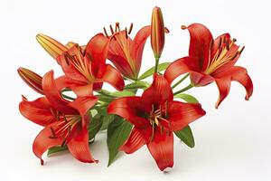 AI generated Red Lilies isolated on white background. AI Generated photo