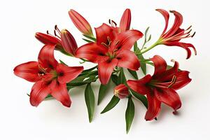 AI generated Red Lilies isolated on white background. AI Generated photo