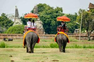 two people riding on elephants with umbrellas photo