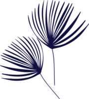 Blue leaf of palm tree. cartoon illustration of leaves png