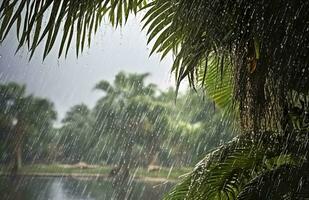 ai generado lluvia en el zona tropical durante el bajo temporada o monzón estación. gotas de lluvia en un jardín. generativo ai foto