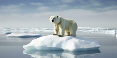 AI generated Polar bear on ice floe. Melting iceberg and global warming. AI Generated photo