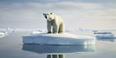 AI generated Polar bear on ice floe. Melting iceberg and global warming. AI Generated photo