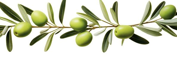 AI generated Olive tree branch, green olives and leaves on white background. AI Generated. photo