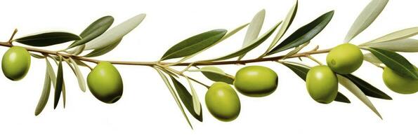 AI generated Olive tree branch, green olives and leaves on white background. AI Generated. photo