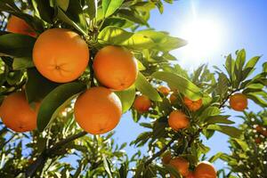 ai generado naranja Fruta en árbol. ai generado foto