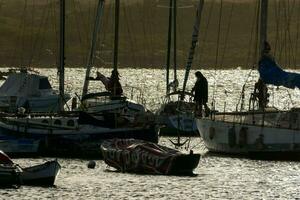 water with many boats in it photo