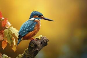 AI generated Kingfisher sitting on the tree branch. AI Generated photo