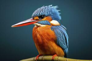 AI generated Kingfisher sitting on the tree branch. AI Generated photo