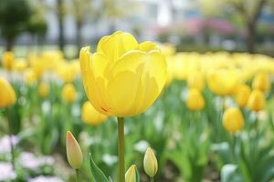 ai generado amarillo tulipán en el jardín. ai generado foto